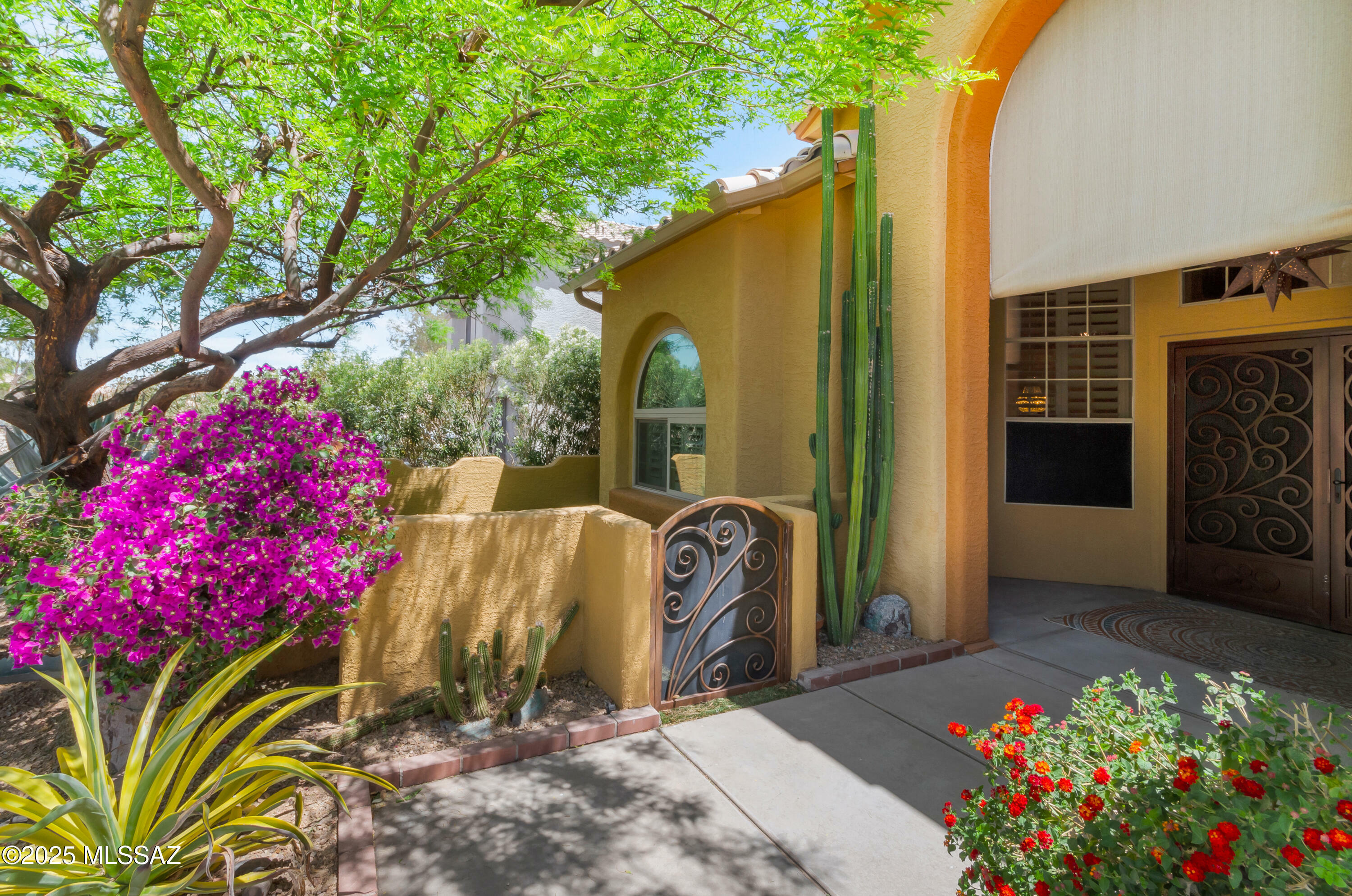 Property Photo: 8390 N Poudre Drive AZ 85743