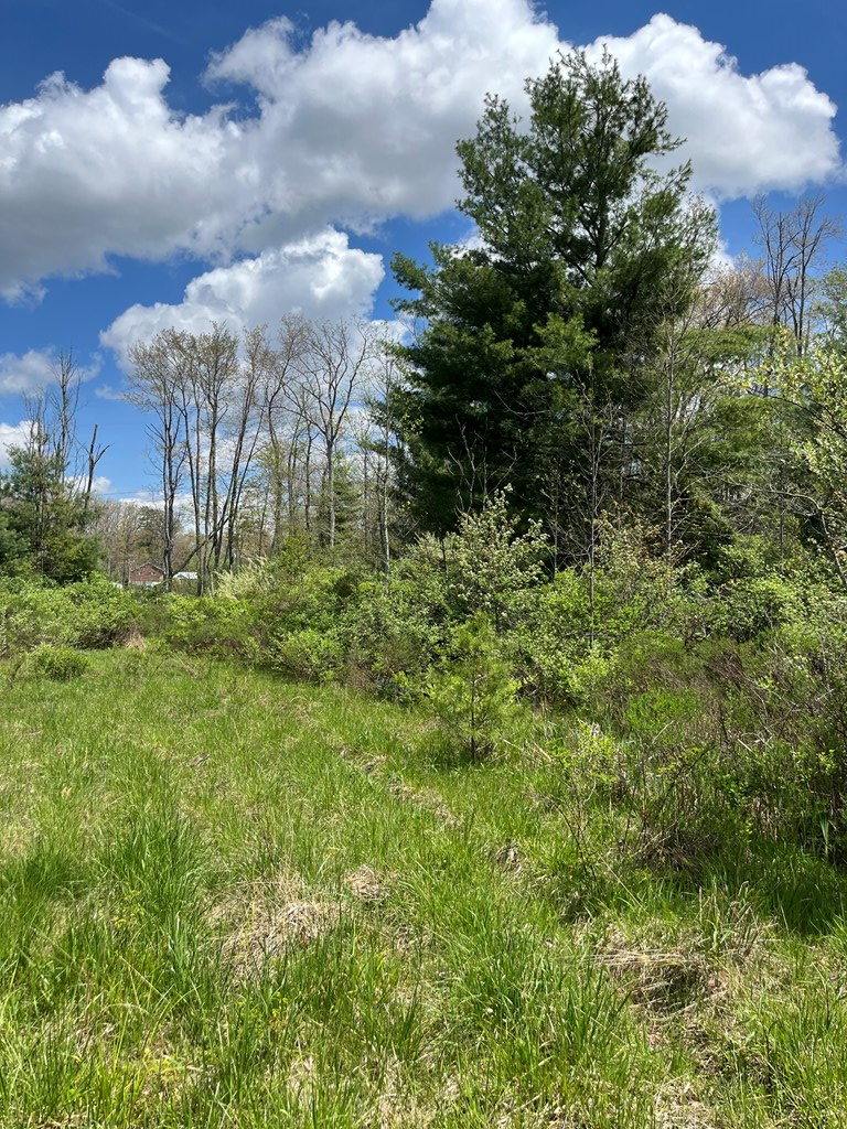 Property Photo: 0 Hinton Road WV 25989