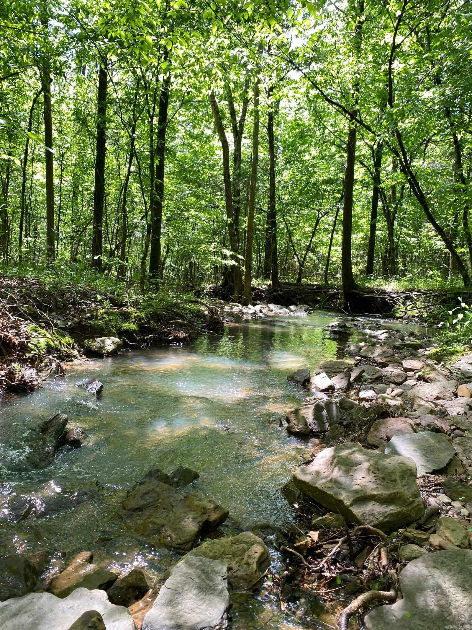 Property Photo: Hwy 164 AR 72846