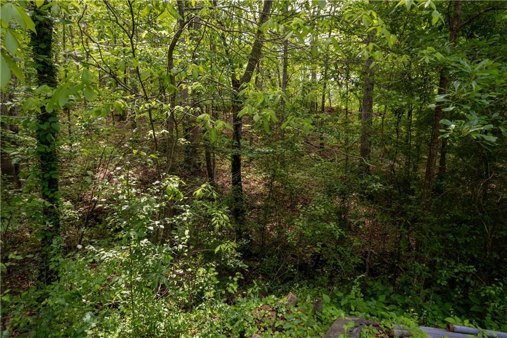Property Photo: 0 Lower Scott Mill Road GA 30115