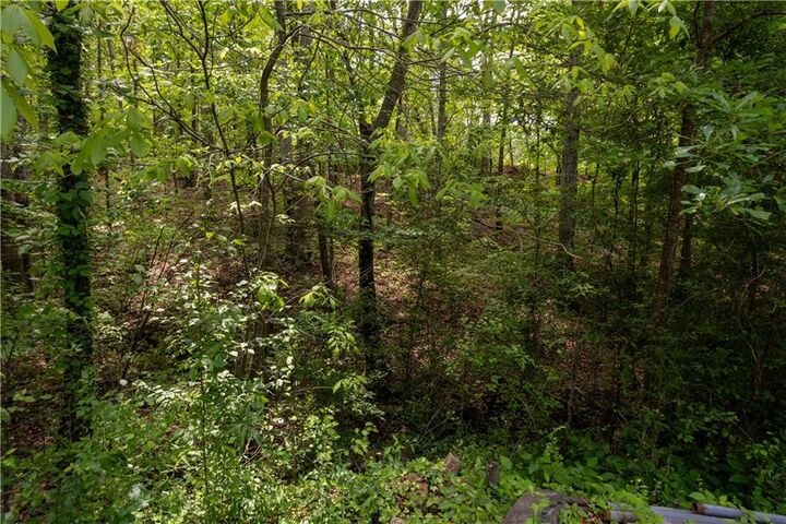 Property Photo: 0 Lower Scott Mill Road GA 30115