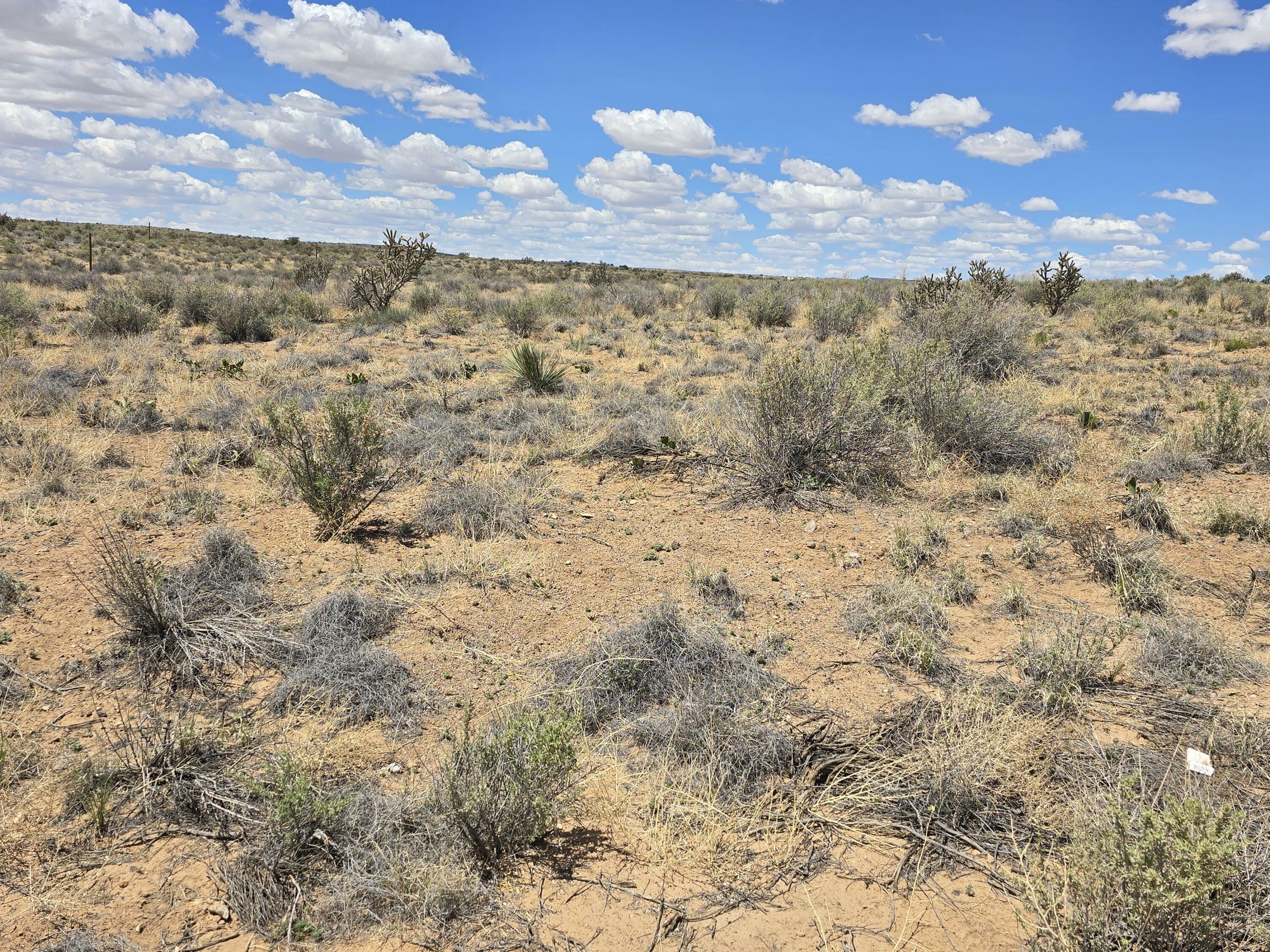 Property Photo: Lot 57 Block 8 Unit 4 SW NM 87124