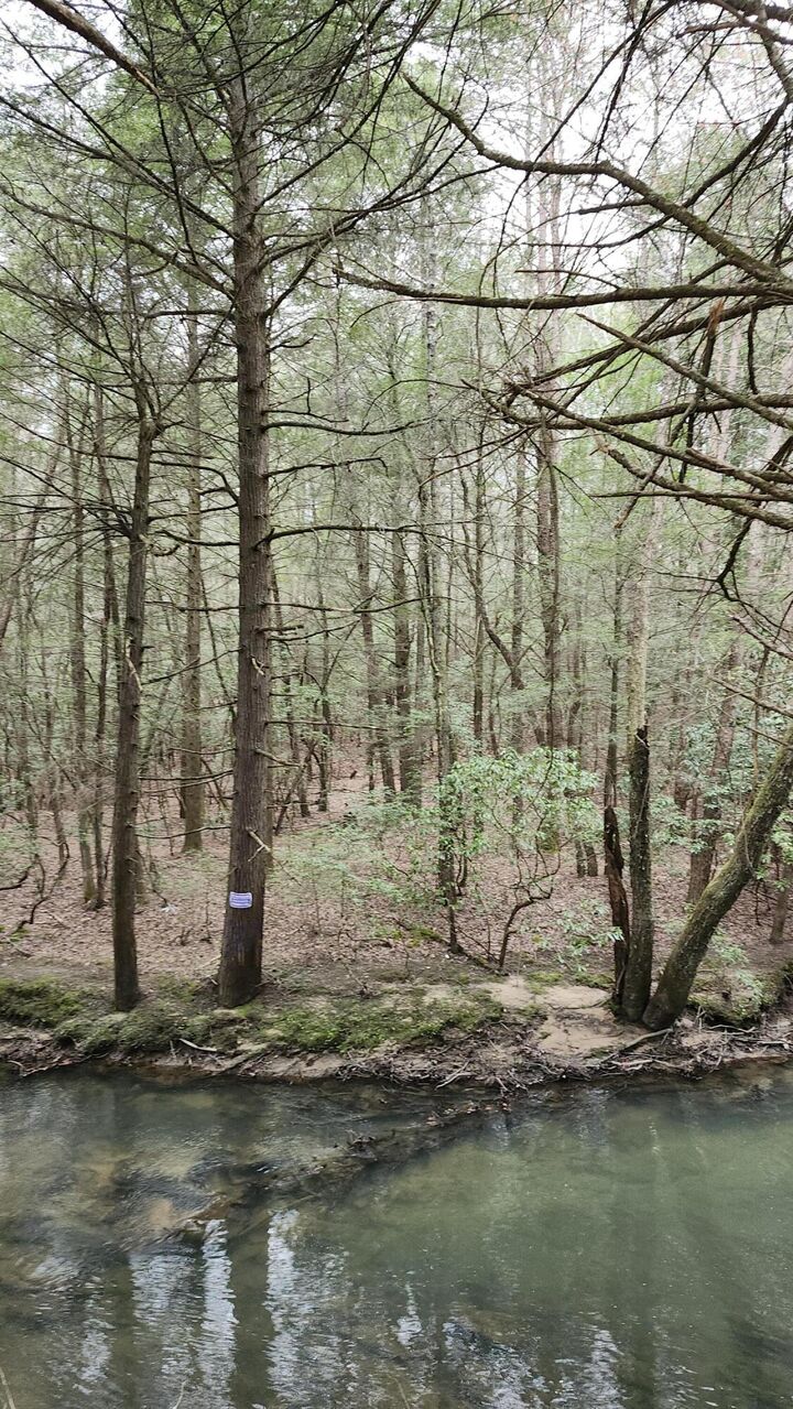 Property Photo:  0 Old Holy Water Road  TN 37387 