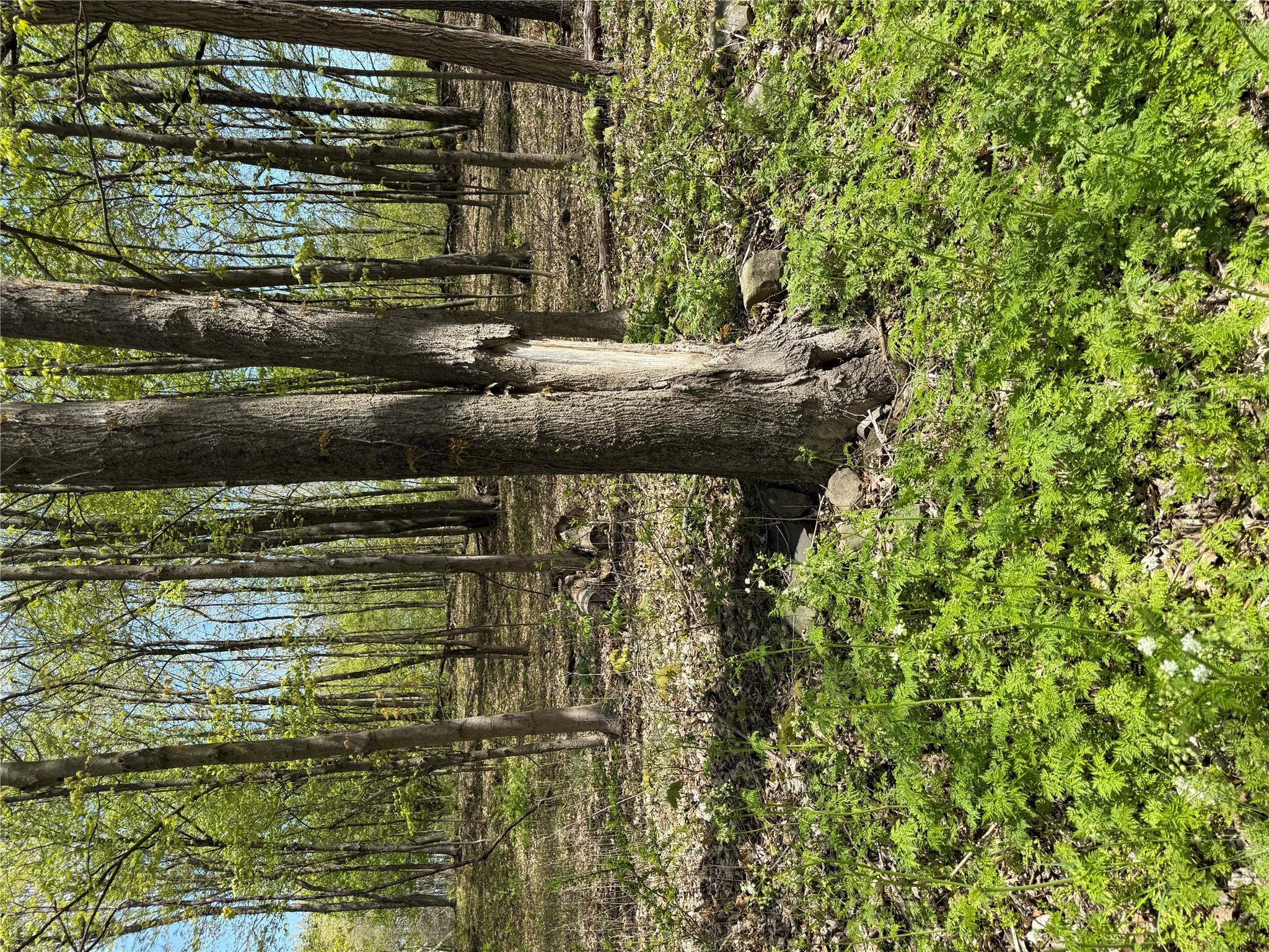 Property Photo: 120 Floyd Ackert Road NY 12493