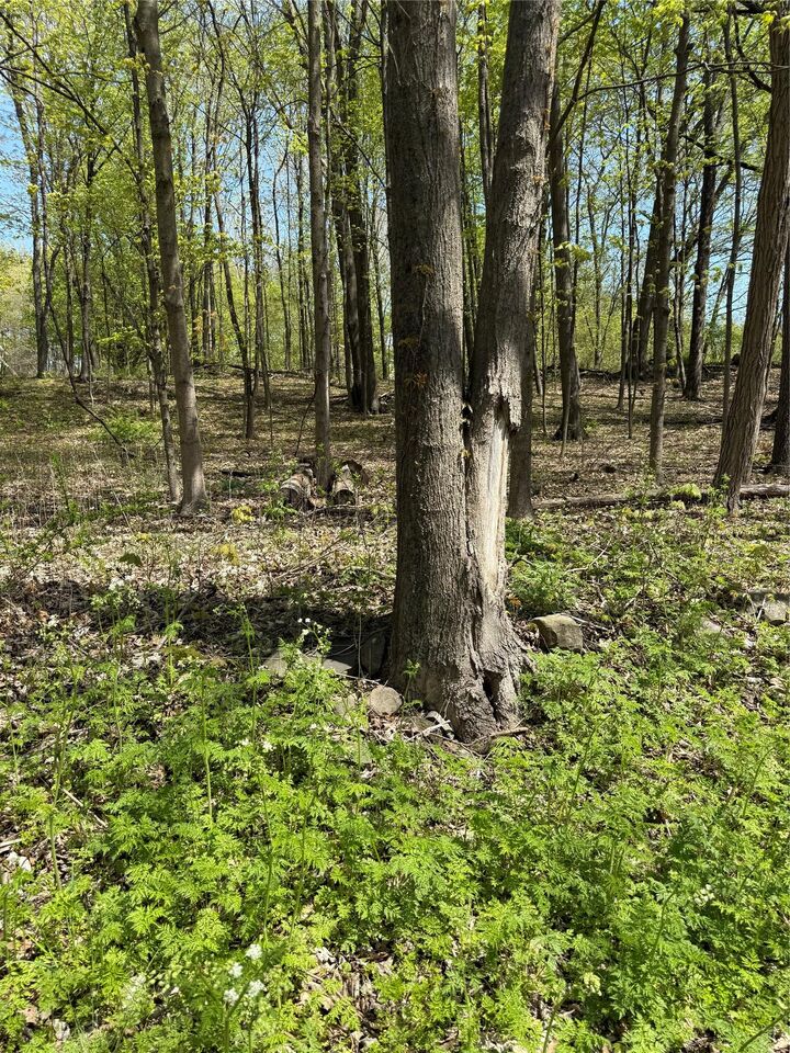 Property Photo:  120 Floyd Ackert Road  NY 12493 