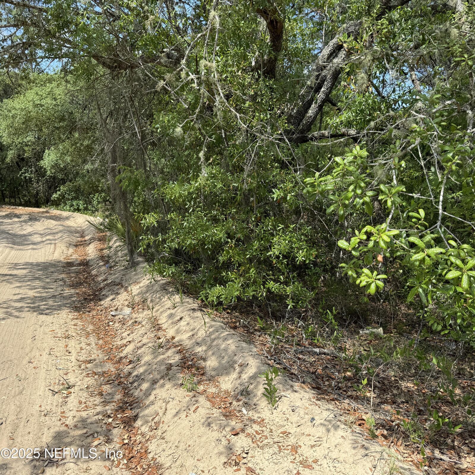 Property Photo:  121 Brown Street  FL 32148 