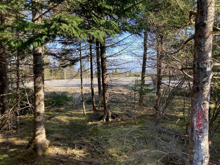 Property Photo: Lot 21-7 Mary Cecelia Ridge NS B0H 1P0