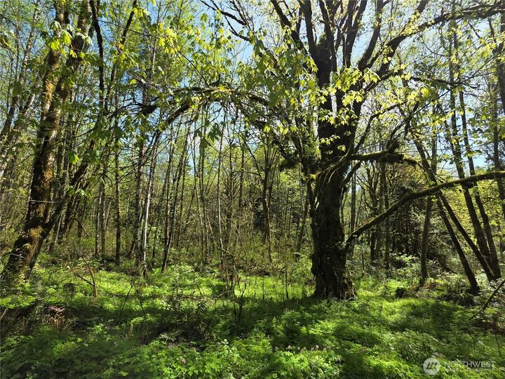 Property Photo:  0  Mill Falls Lane  WA 98632 