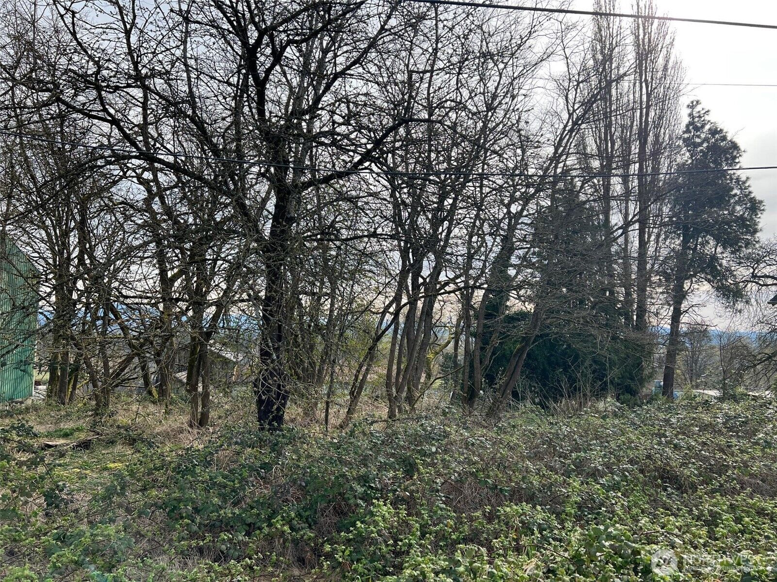 Property Photo:  4211 S 3rd Avenue  WA 98203 