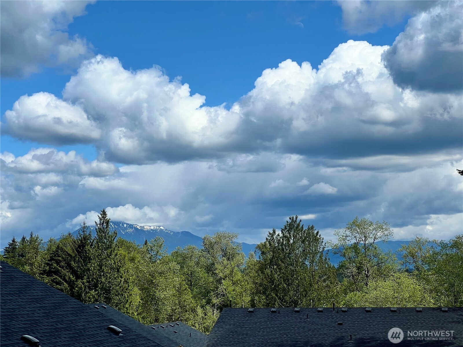 Property Photo:  932  121st Avenue SE  WA 98258 
