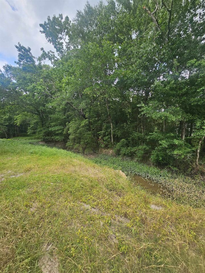 Property Photo: Oldbury Rd. TX 77662