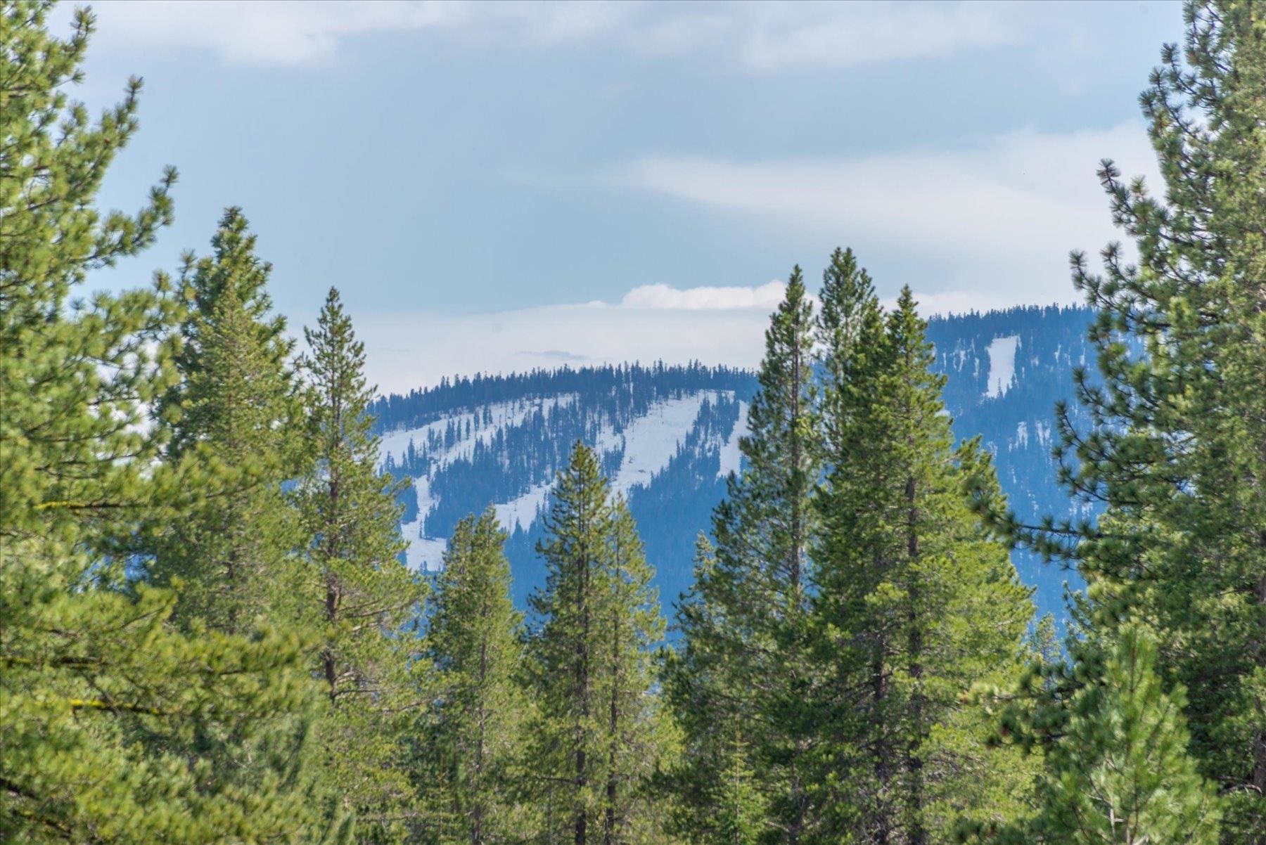 Property Photo:  11690 Bottcher Loop  CA 96161 
