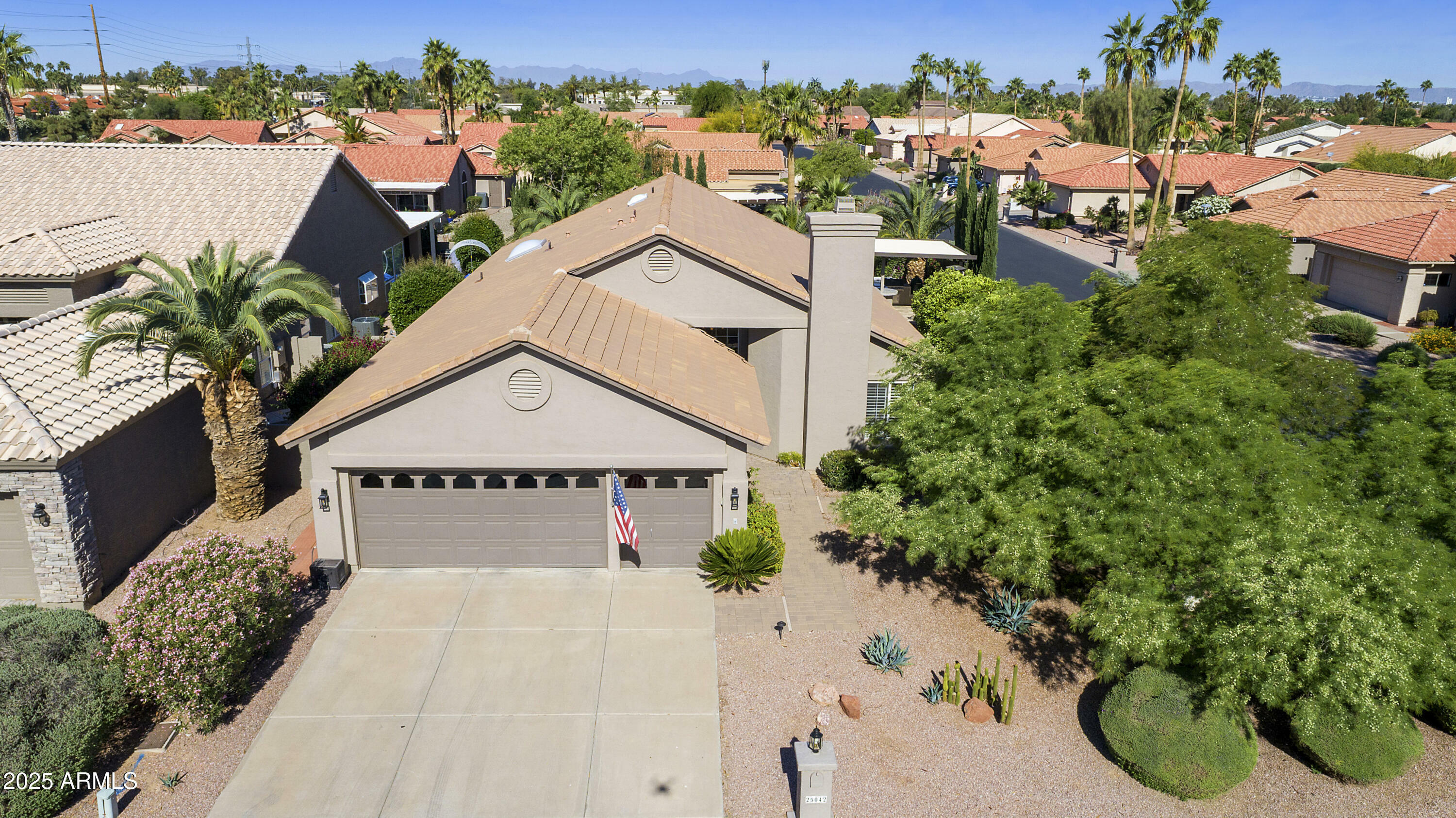 25042 S Hollygreen Drive  Sun Lakes AZ 85248 photo