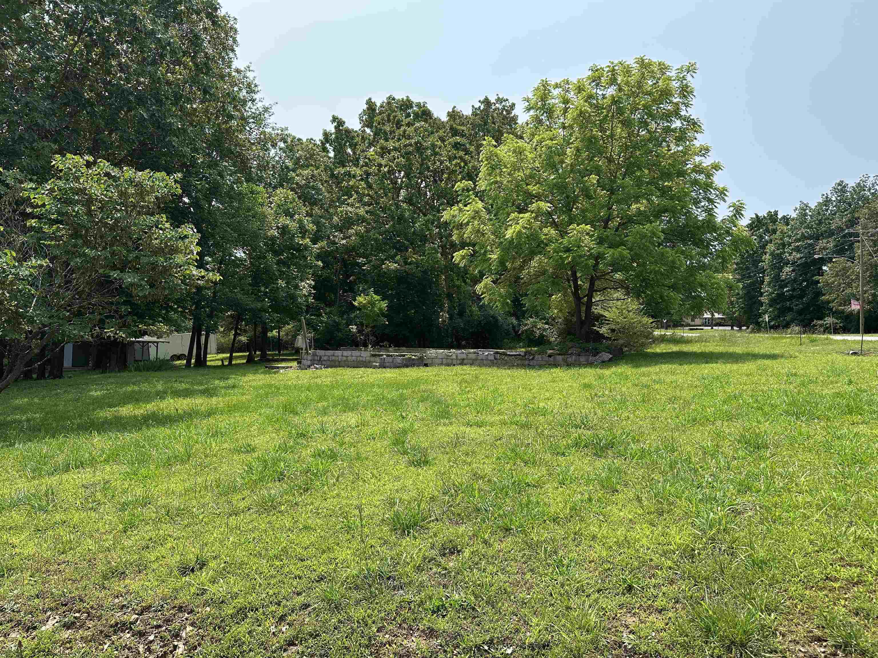 320 Hazelwood Drive  Diamond City AR 72630 photo