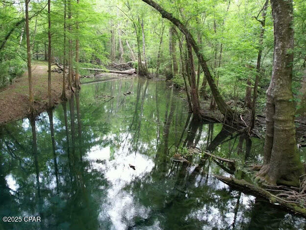 Property Photo: 000 79 Highway FL 32462