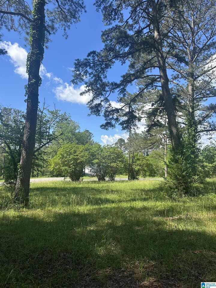 Property Photo:  1225 Pine Harbor Road 11  AL 35128 