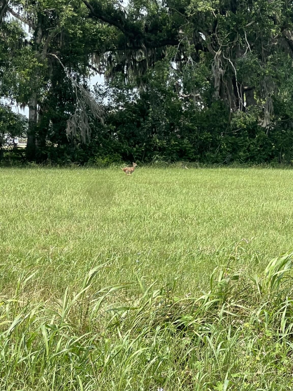 Property Photo:  130 Pony Trail Trail  TX 77515 