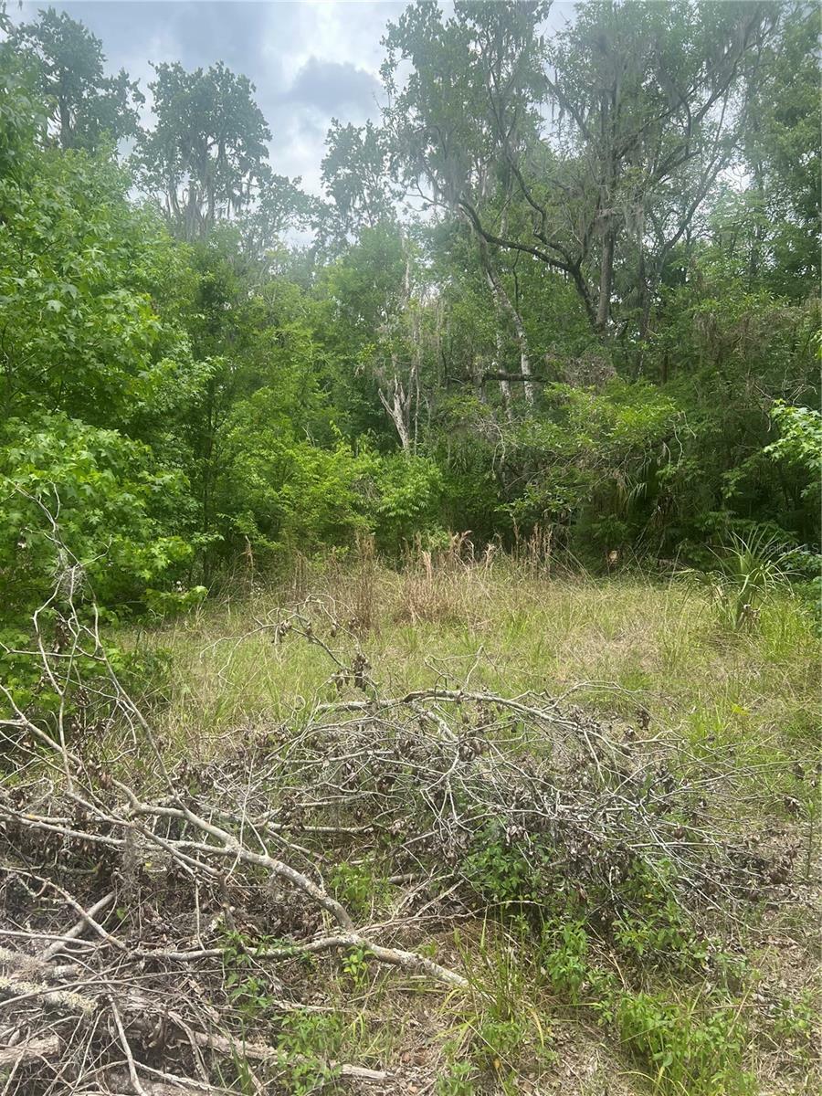 Property Photo: 2614 Cr 412 FL 33538