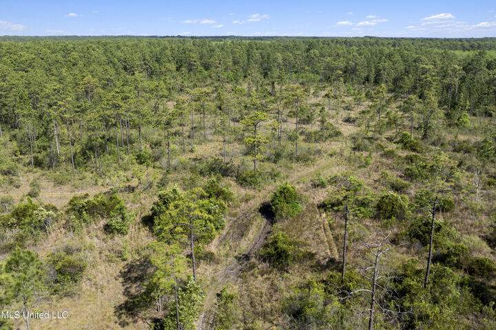 Property Photo: Shiprock Street MS 39567