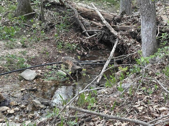 Property Photo: 188 Oregon Trail AR 72672