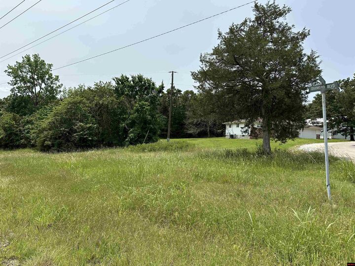 Property Photo:  775-00832-000 Somonauk Drive  AR 72630 