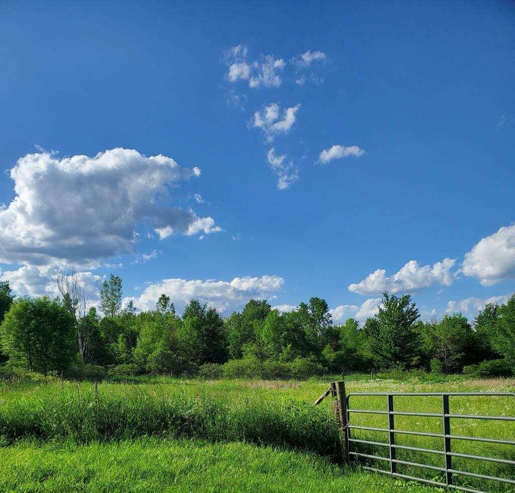 Property Photo: 18664 Bradstreet Road MI 49247