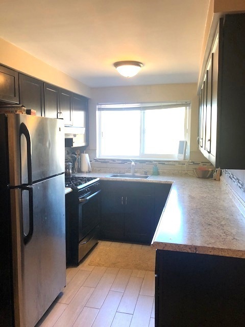 Property Photo: 609 Oakton Street 3E IL 60202