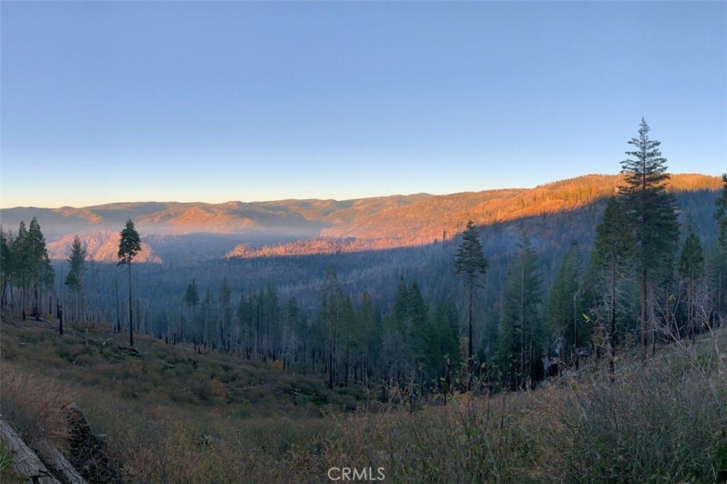 Property Photo: 7170 7174 Yosemite Park Way CA 95389
