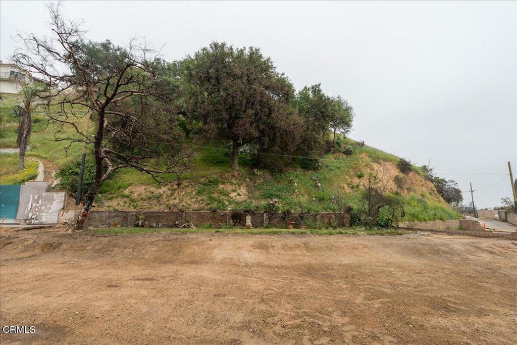 Property Photo: 1369 E Loma Alta Drive CA 91001