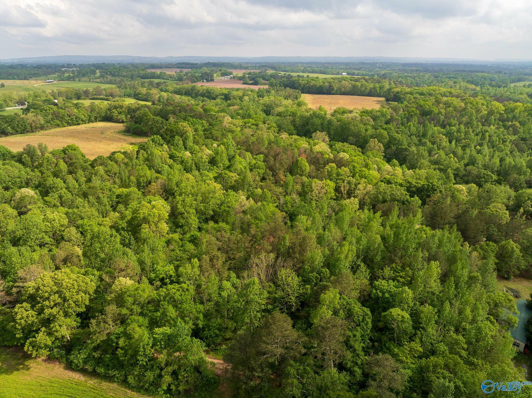Property Photo: 9.10+ Acres Pleasant Grove Road AL 35980