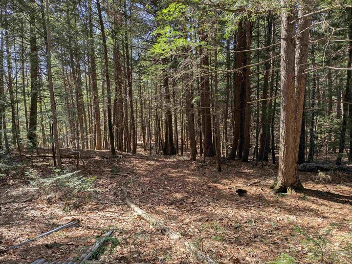 Property Photo: 2-56 Caesars Road NH 03057