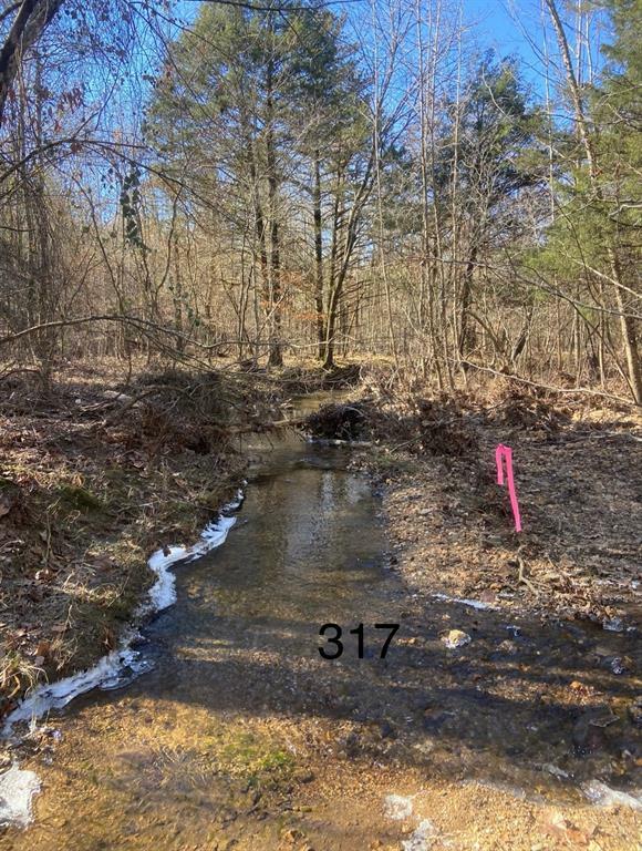 317 Marked Pine Lane  Broken Bow OK 74728 photo