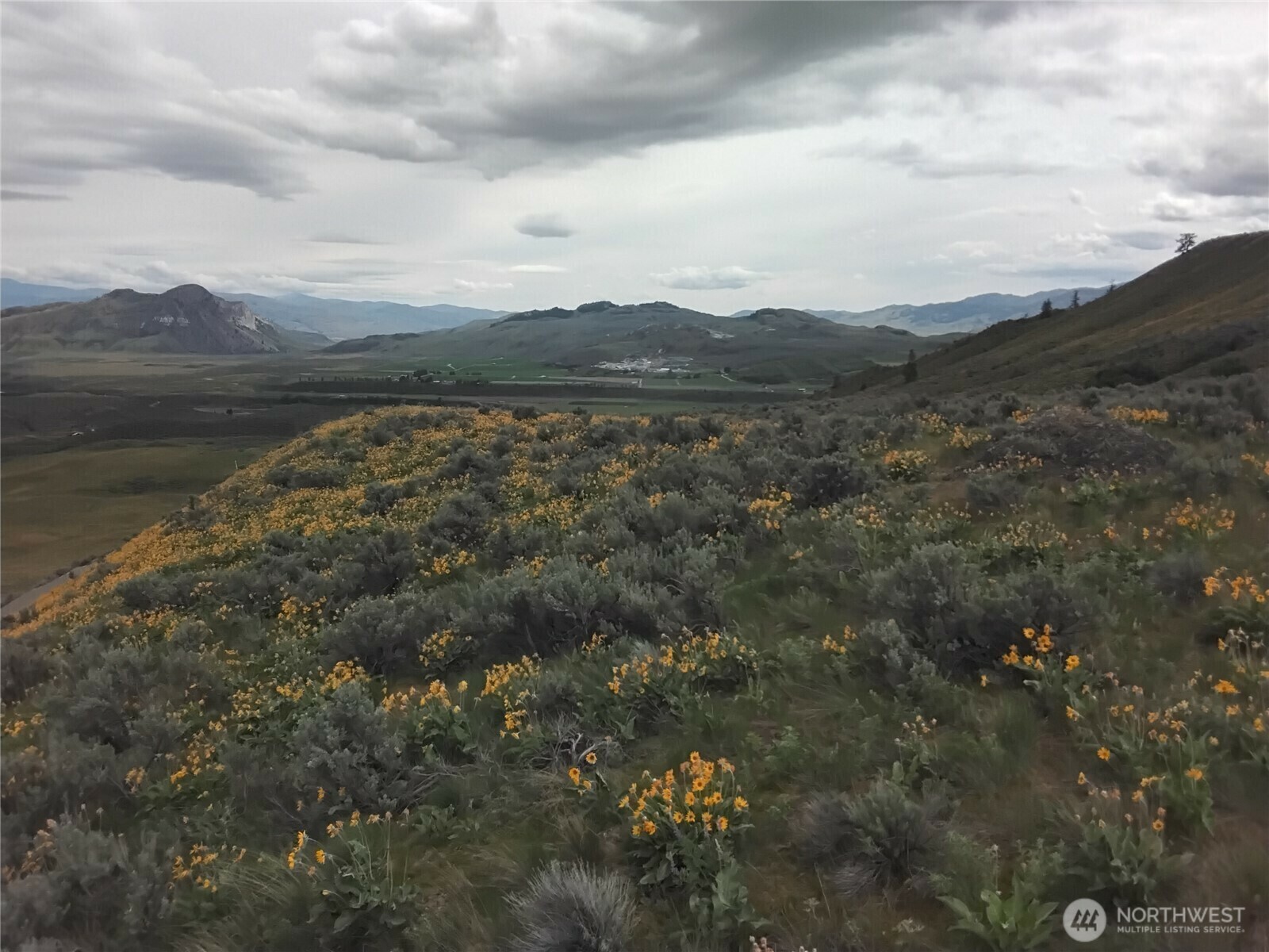 Property Photo: 0 Lower White Rock Road WA 98844