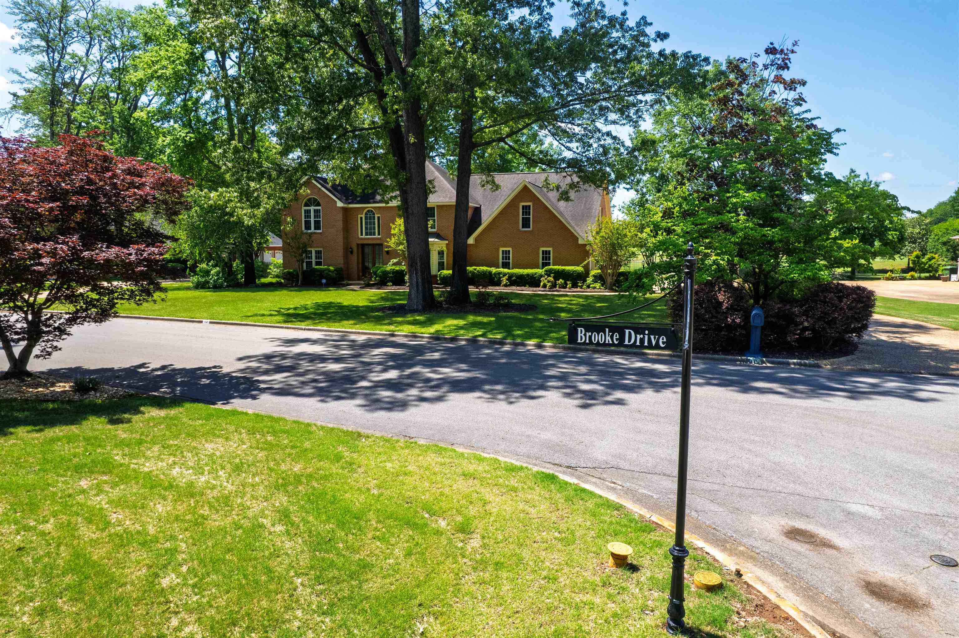 Property Photo: 113 Brooke Dr AL 35661 - MUSCLE S