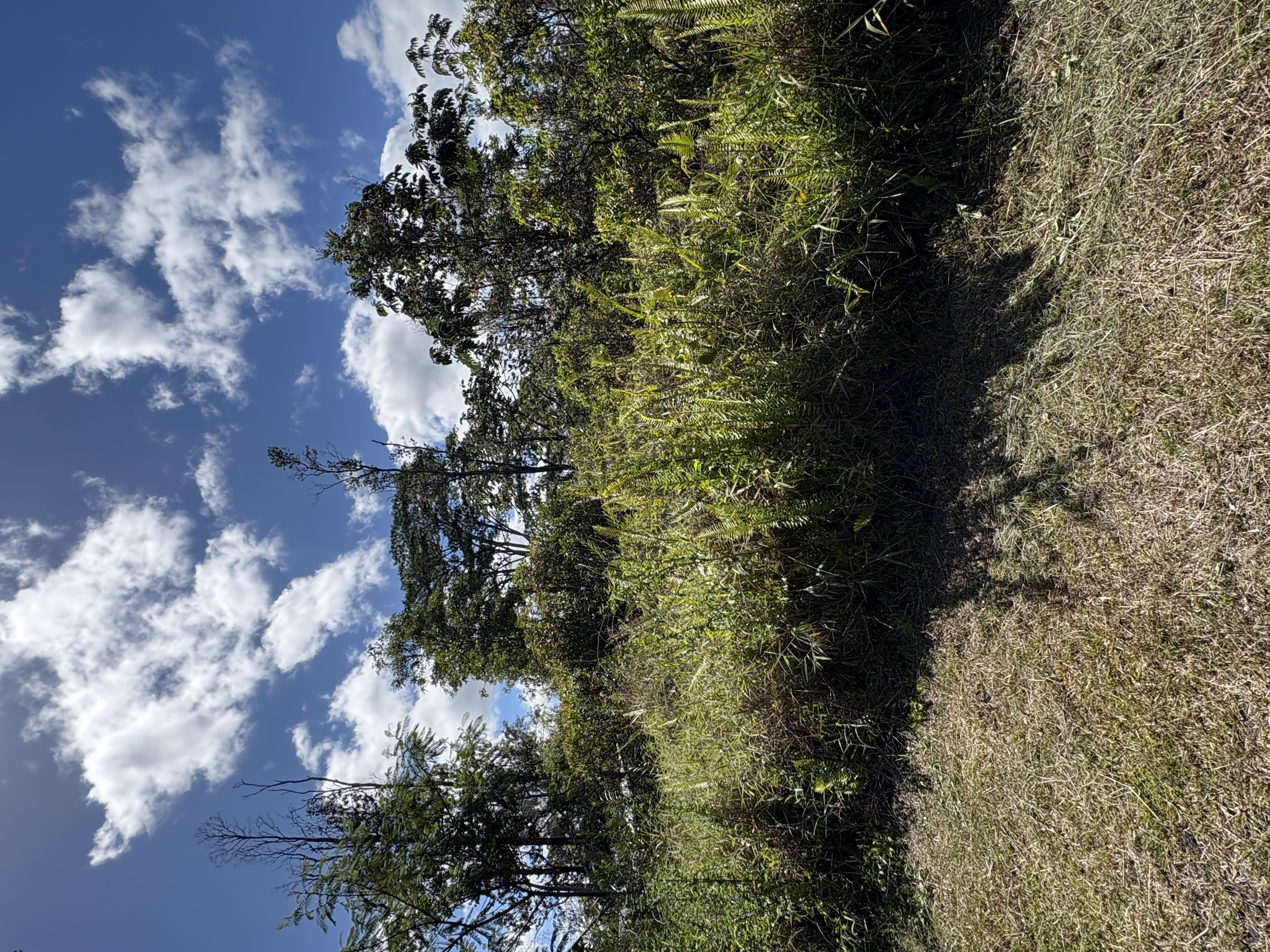 Property Photo: Brookover St HI 96760