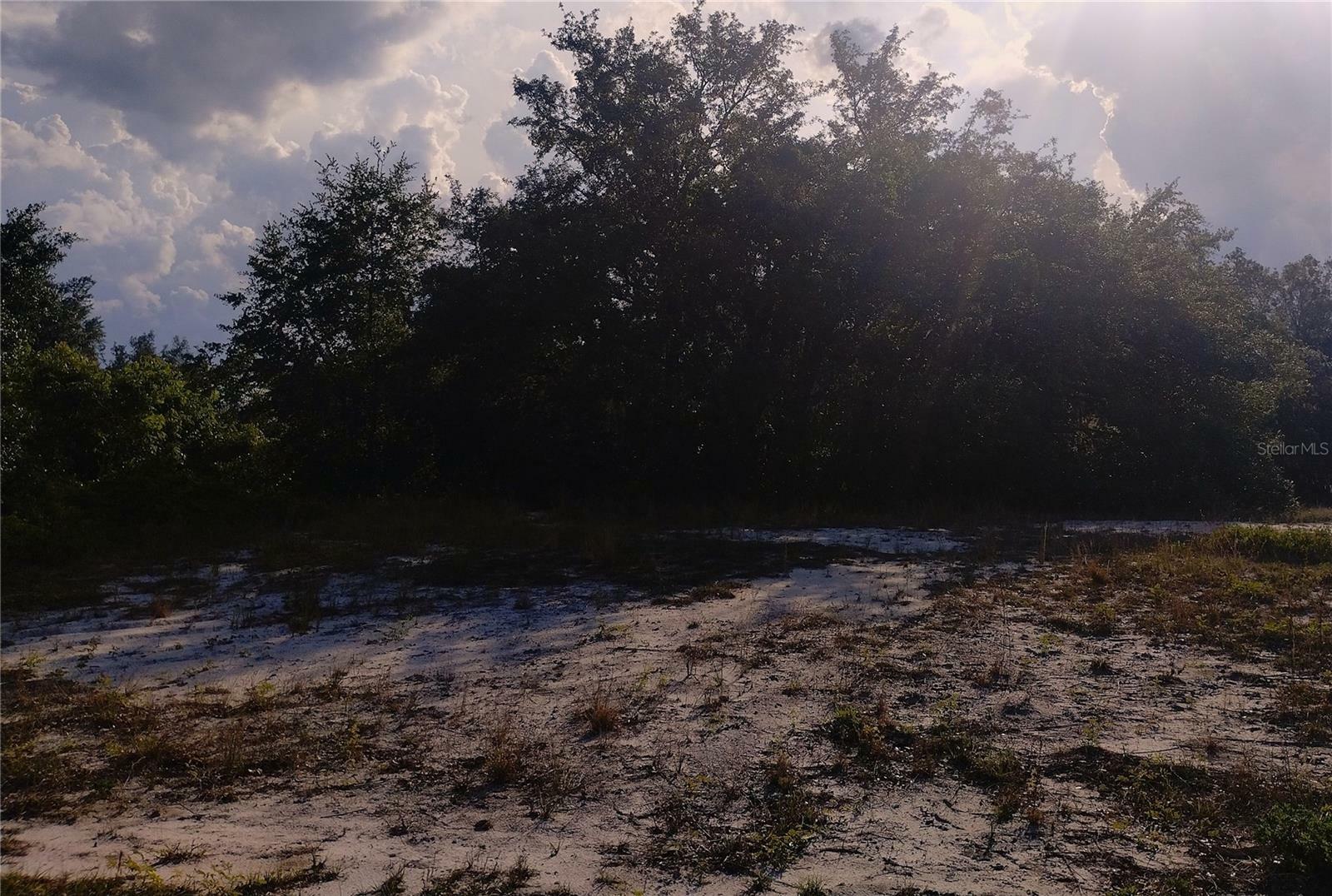 Property Photo: 0 Cedarwood Drive N FL 33898