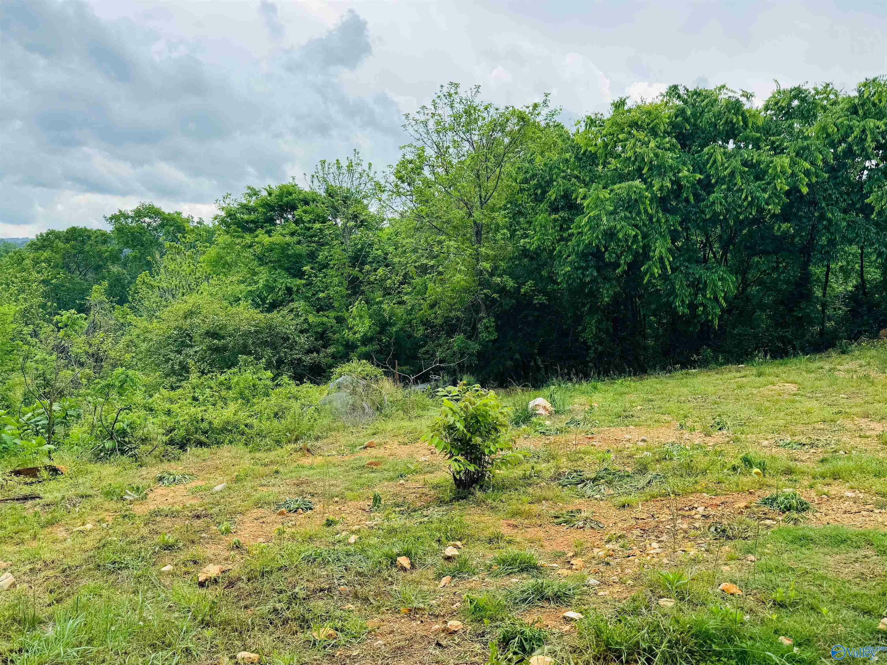 Property Photo: 2803 Browder Road NW AL 35968