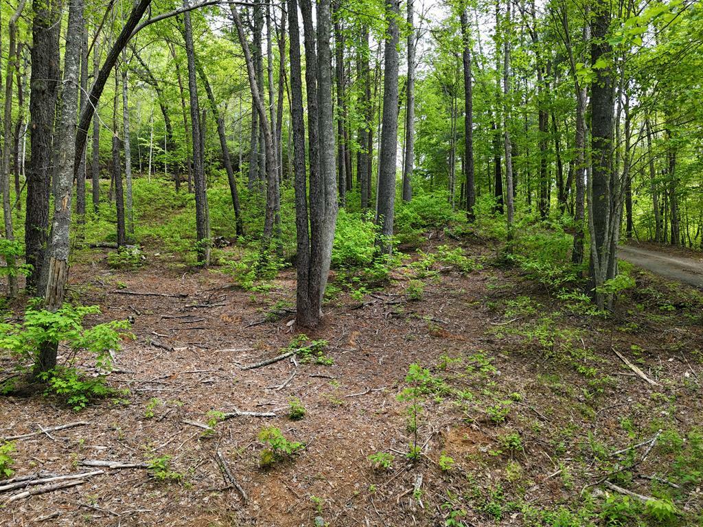 Property Photo: Tract 3C Riverside Drive GA 30546
