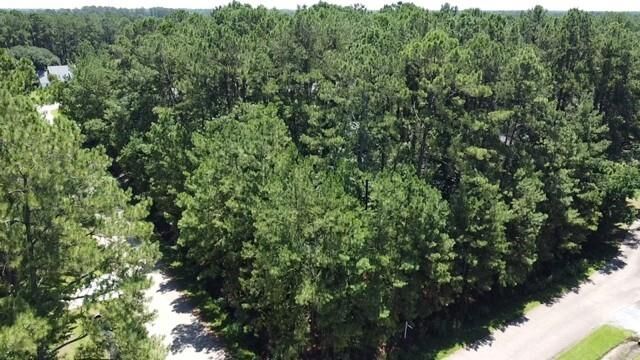 Property Photo: Lot 69 Savannah Trace LA 70447