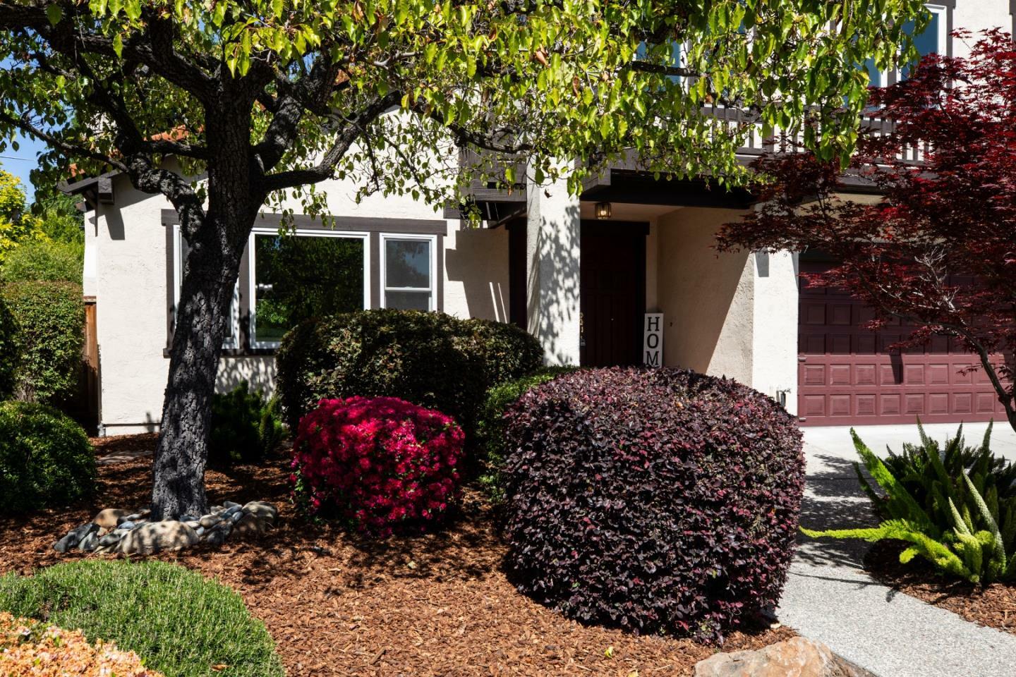 Property Photo:  867 Norfolk Pine Avenue  CA 94087 