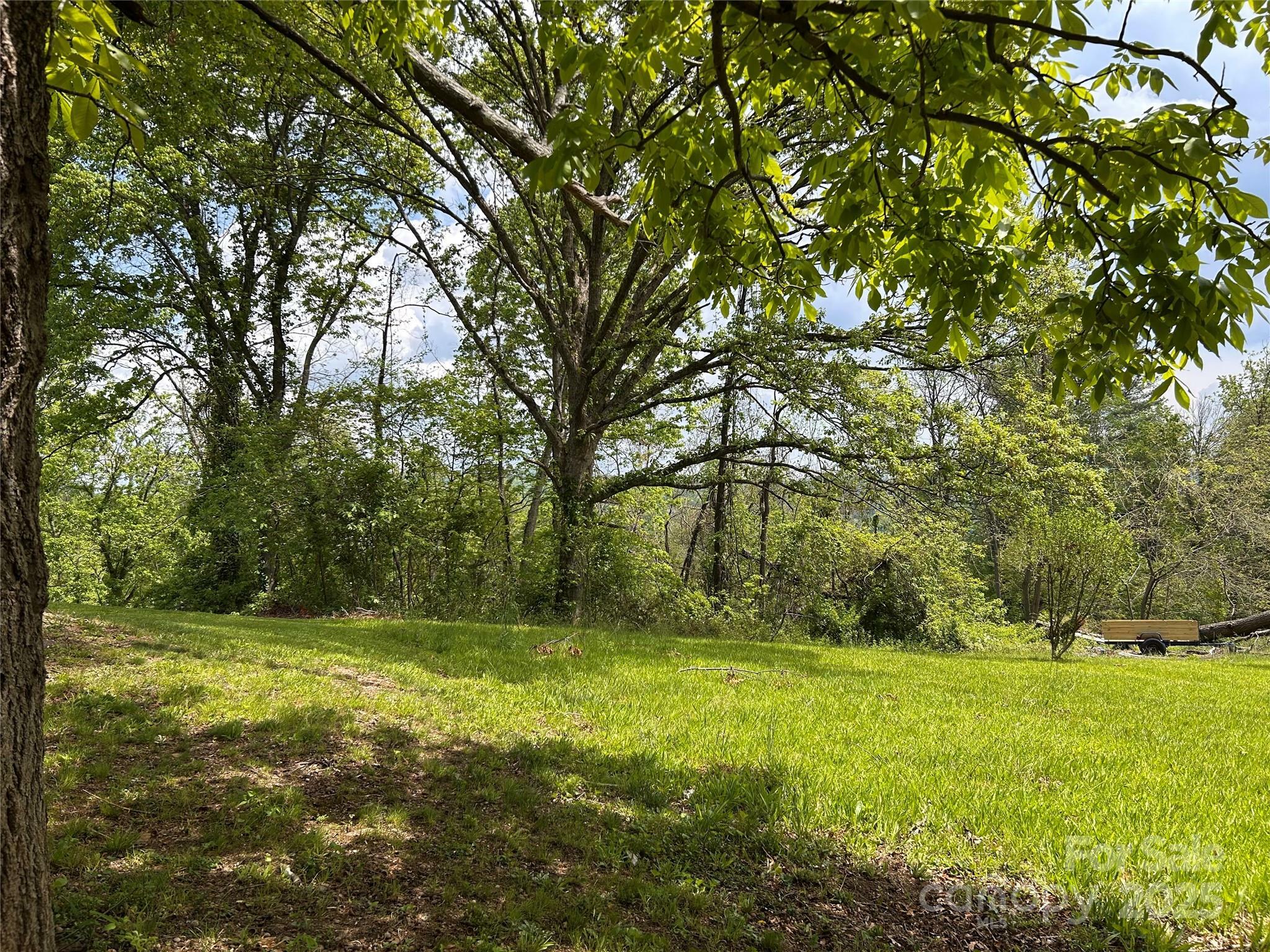 Property Photo: 14 Crestfield Avenue NC 28804