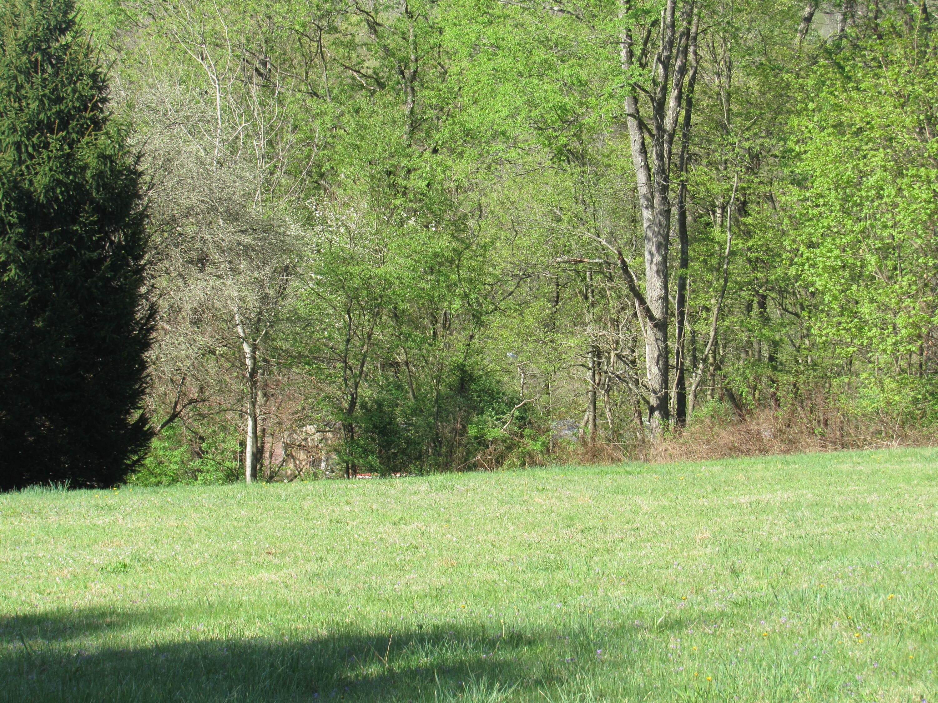Property Photo: Hill St PA 15840