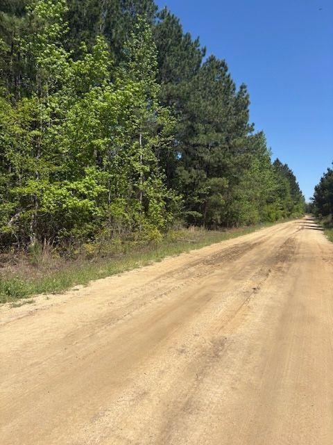 Property Photo: 0 Mt Pleasant Church Road GA 31071