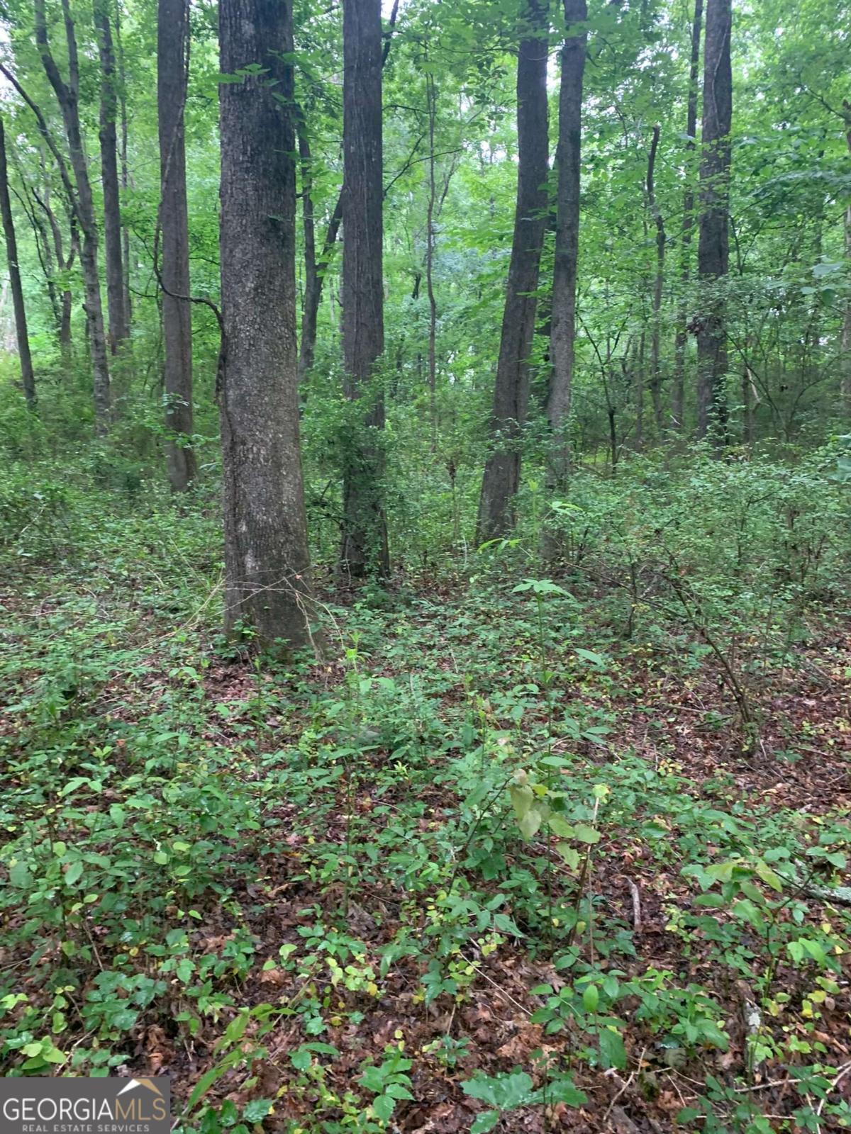 Property Photo: 7700 Poole Circle Tract B GA 30510