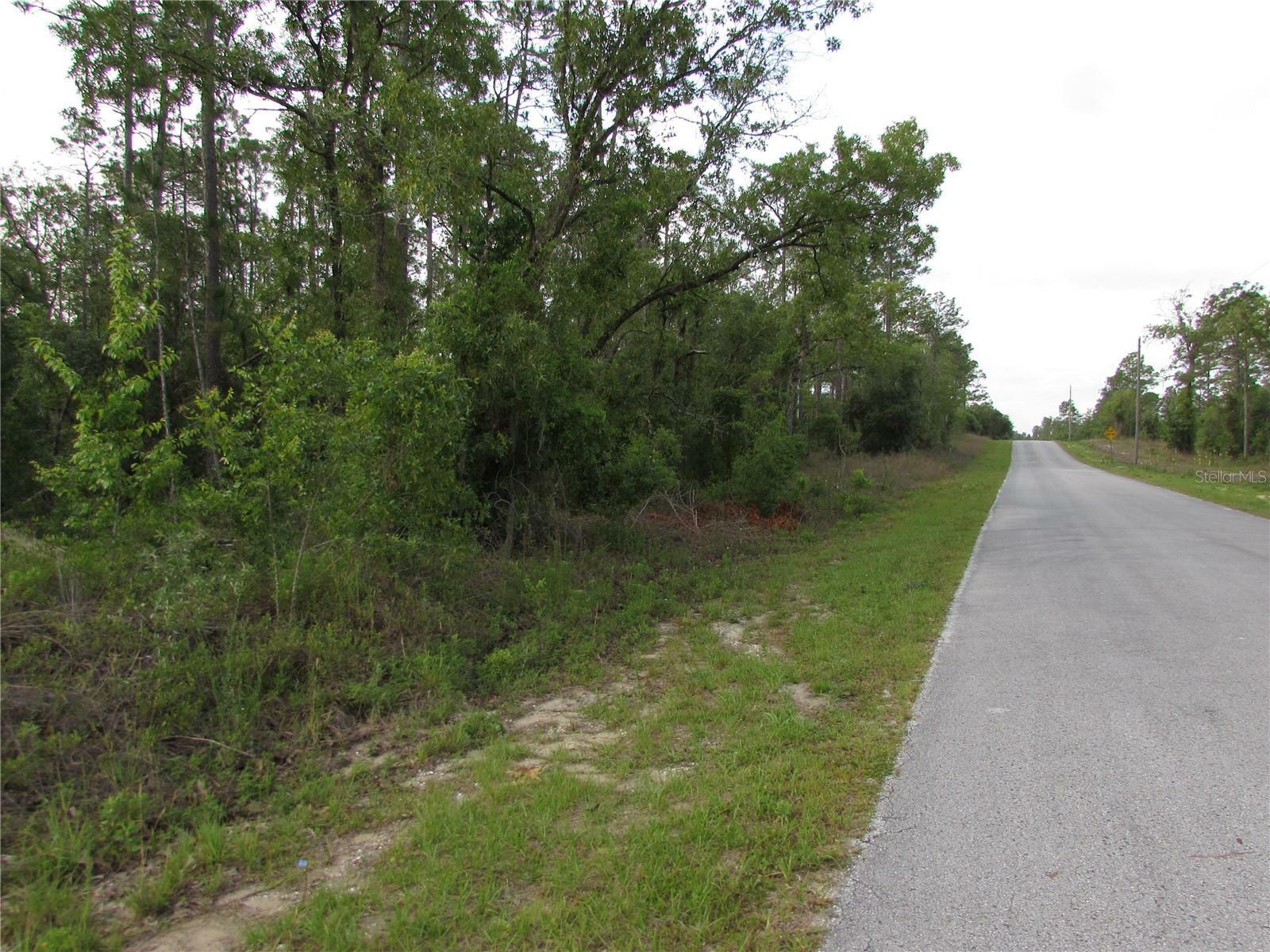 Property Photo: Lot 37 SW Hunter Hill Avenue FL 34431