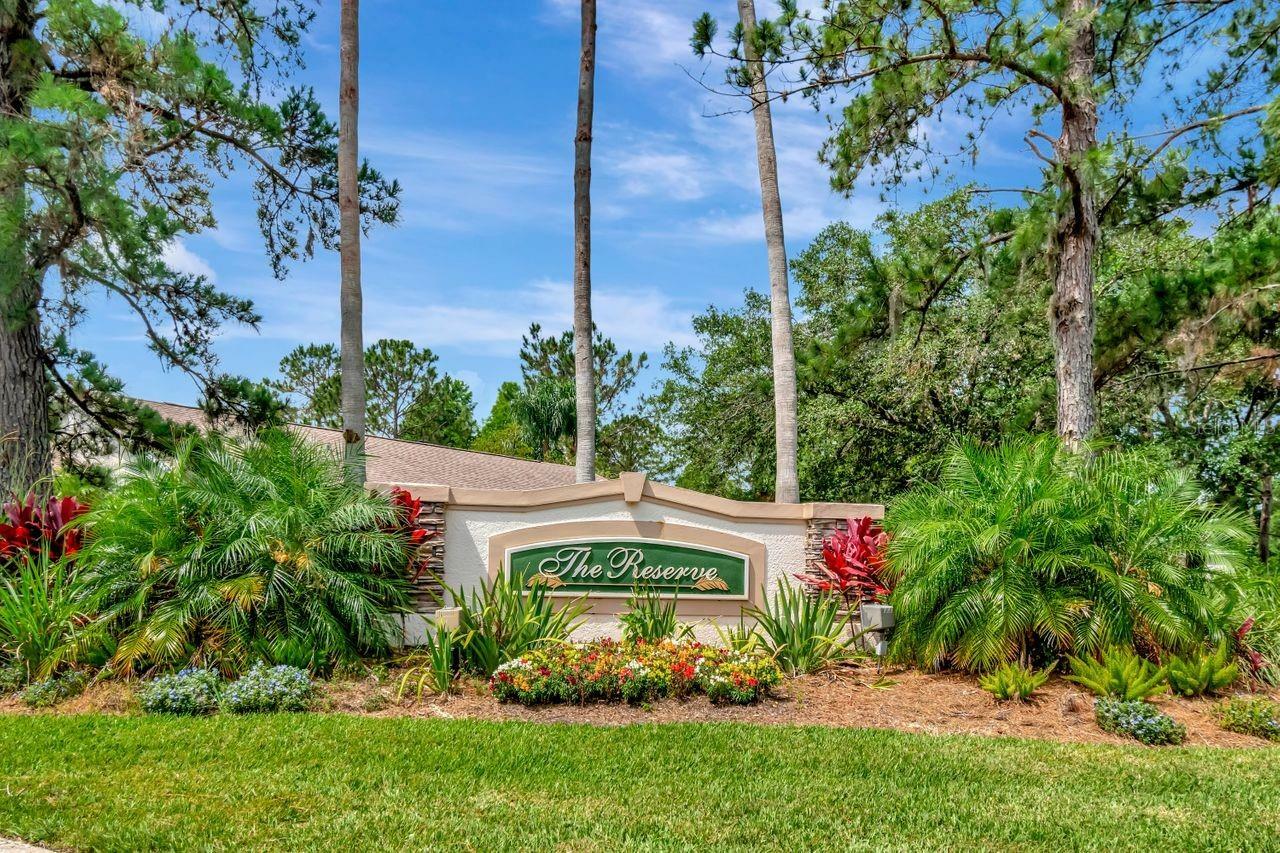 Property Photo: 2823 Banyan Hill Lane FL 34639