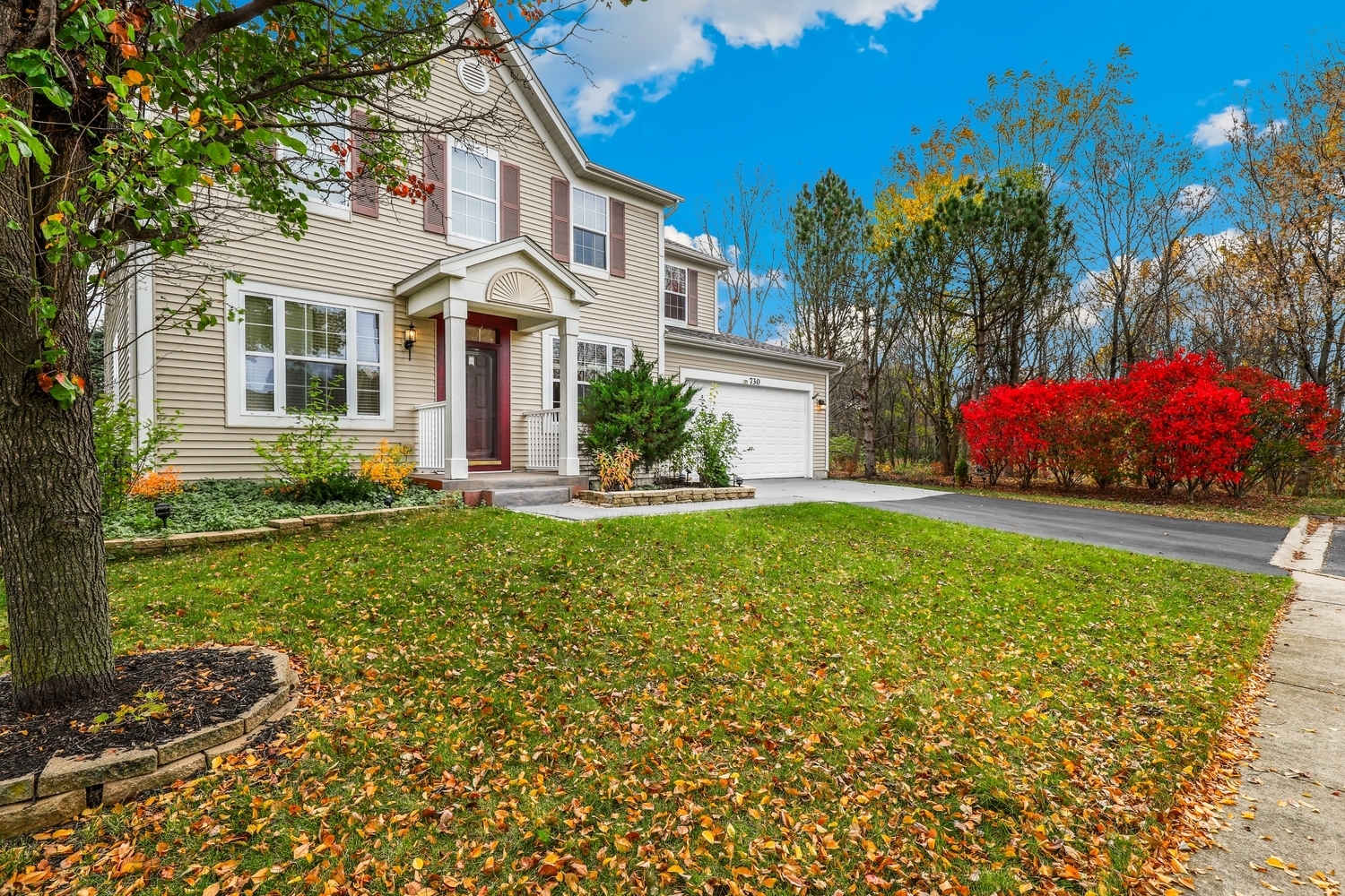 Property Photo: 730 Charismatic Drive IL 60543