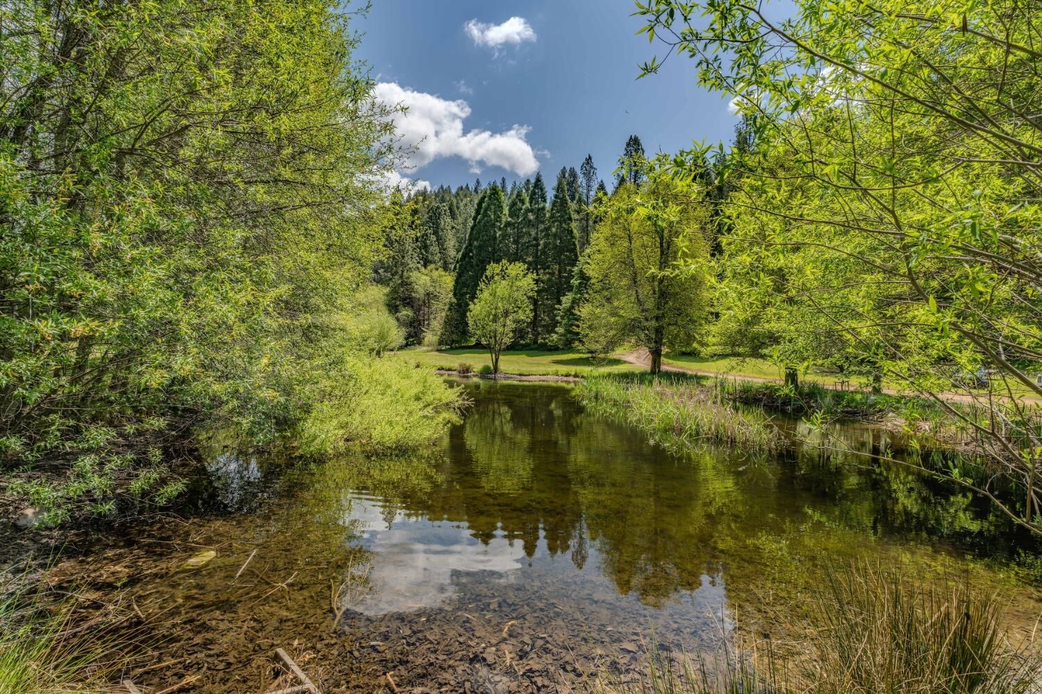 Property Photo: 7250 Mitchell Mill Road CA 95257