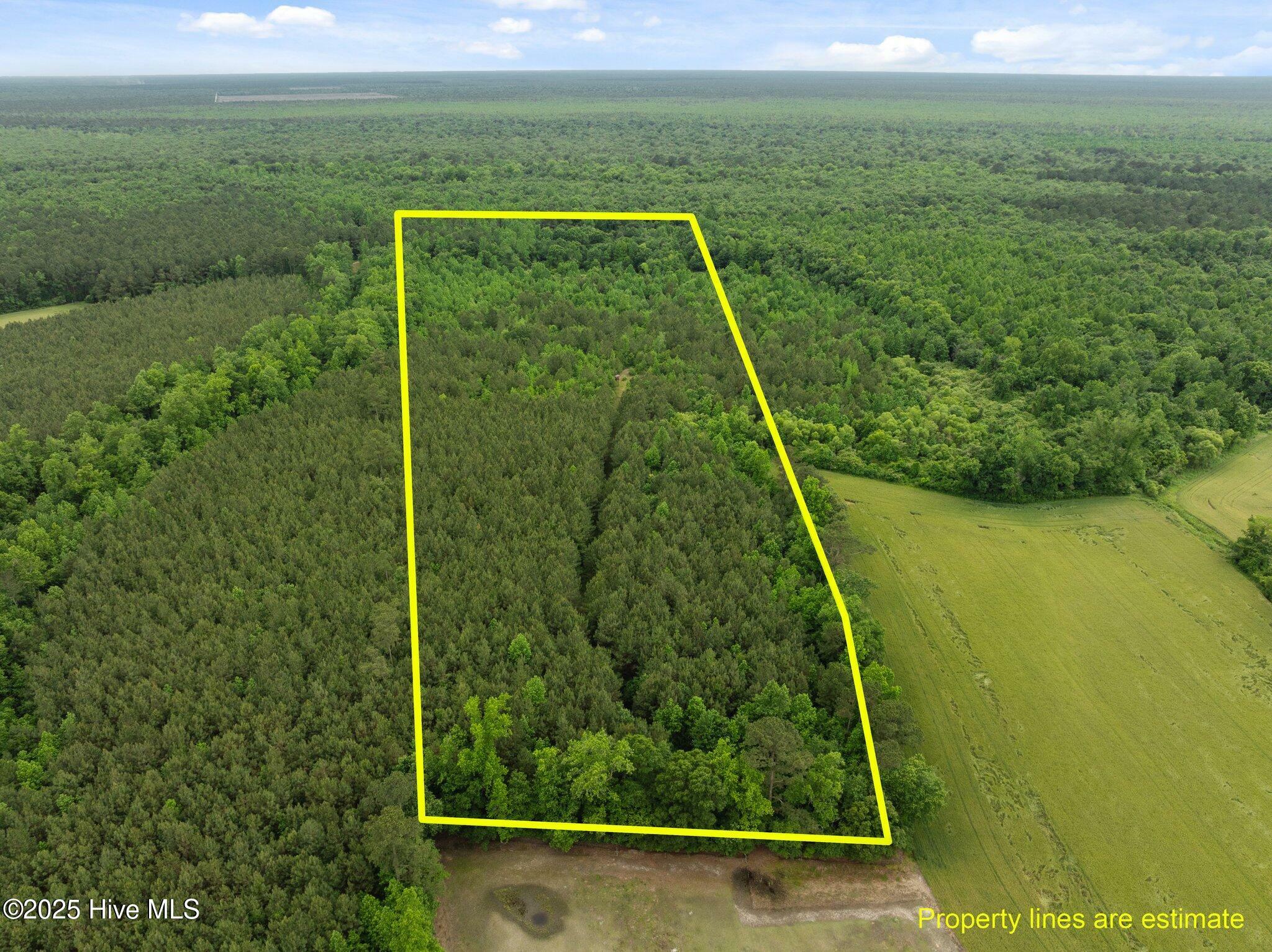 Property Photo: Tbd Nc-50 NC 28466