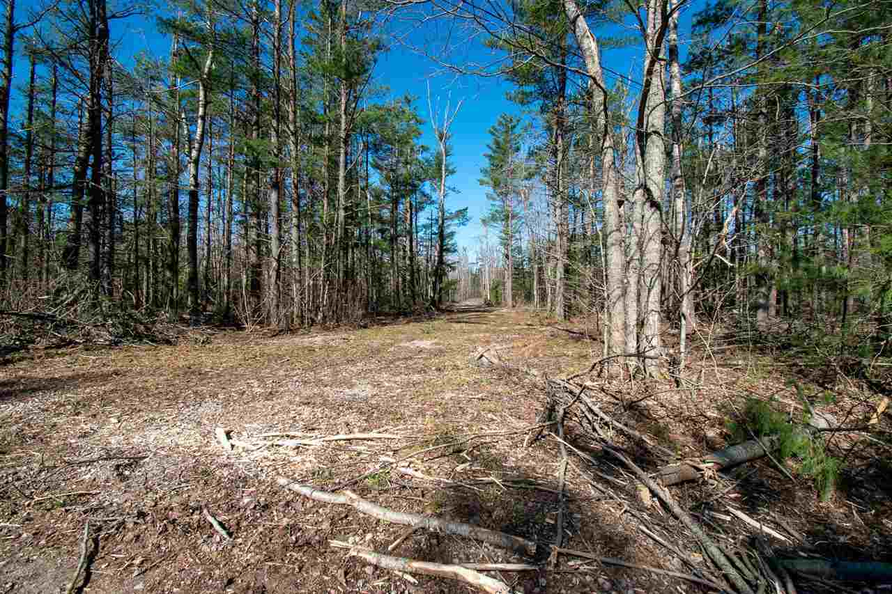 Property Photo: 2400 Lone Pine MI 49735